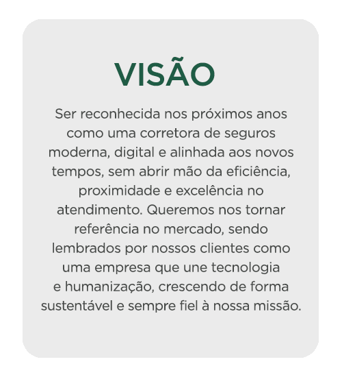 VISAO